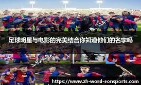 艾尔莎的构