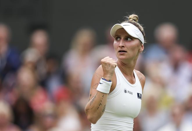 作为联盟中 作为联盟中